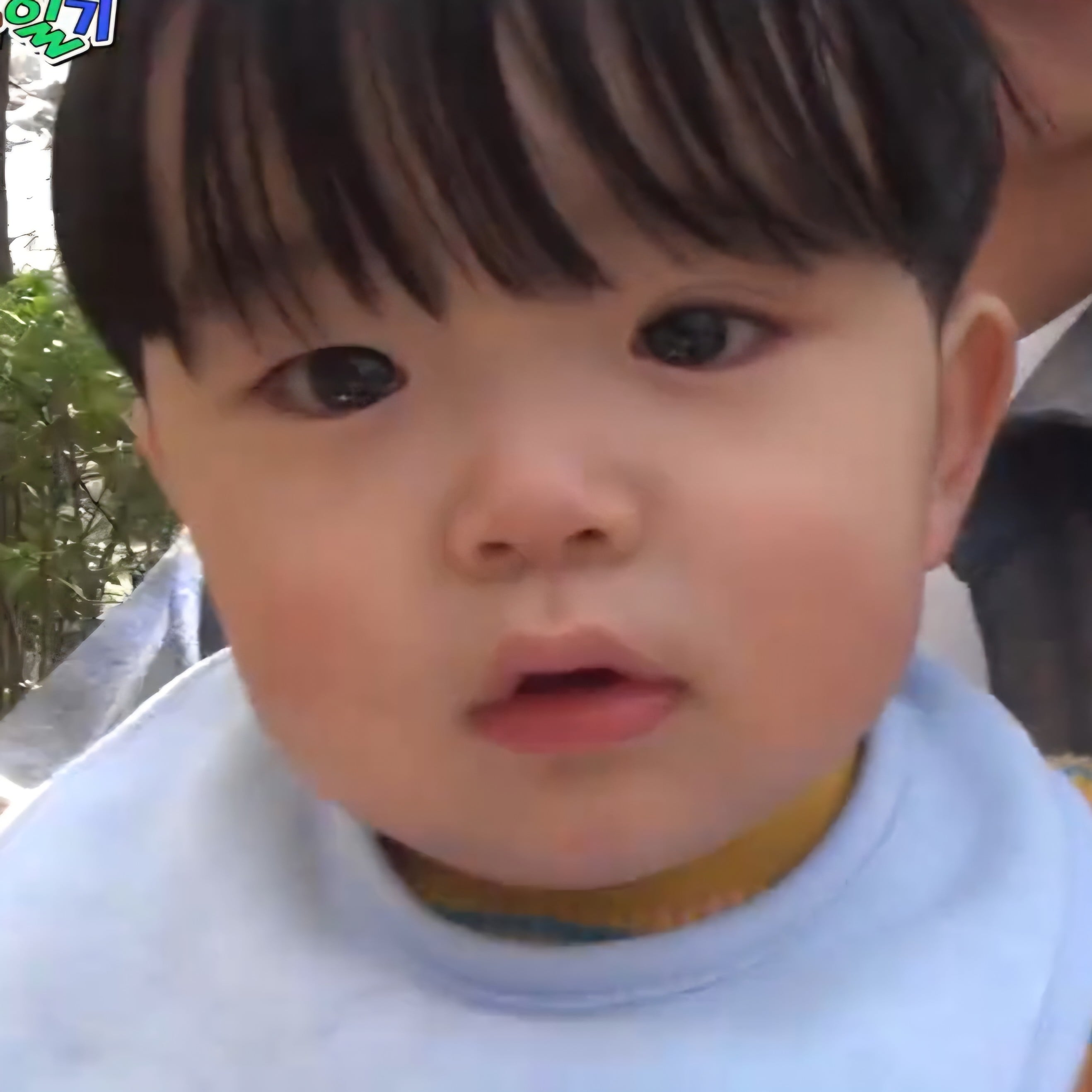 [잡담] 유준이 범규 닮았단 말 진짜 많이 봤는데 | 인스티즈