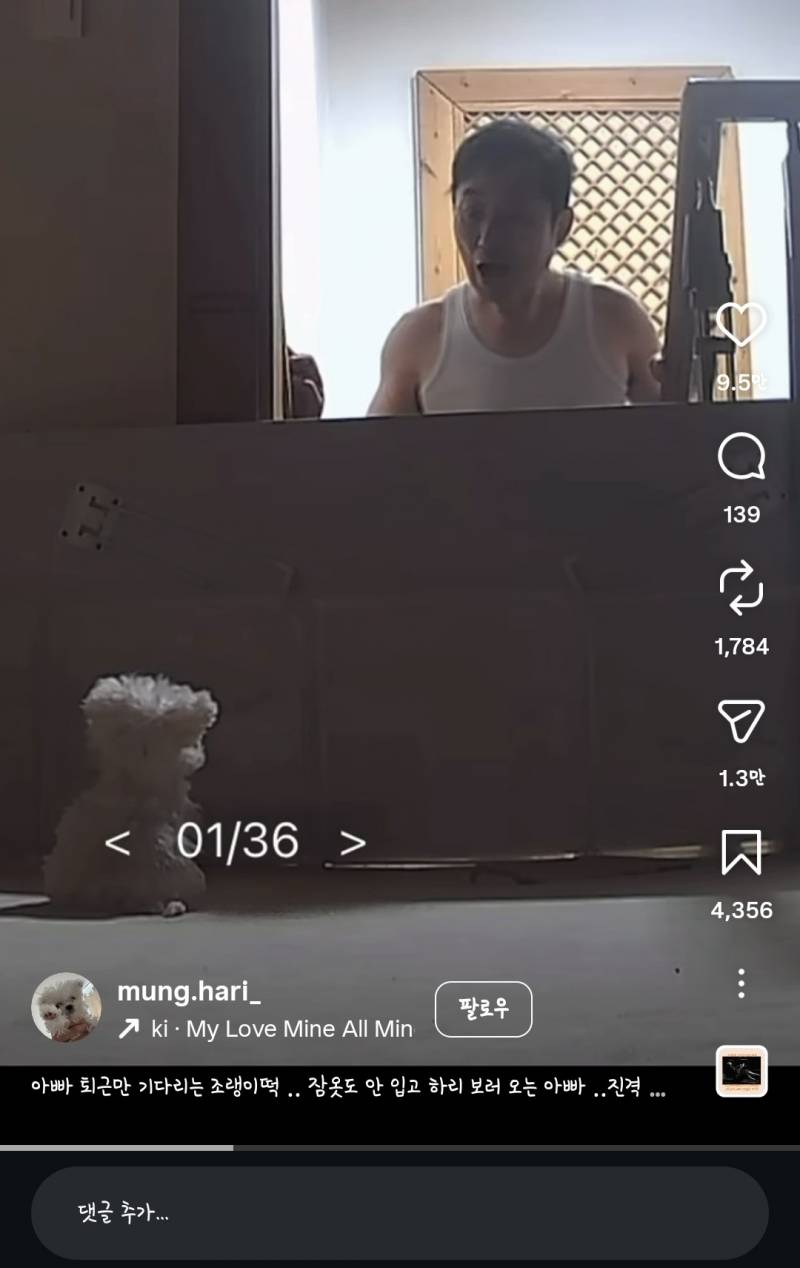 [잡담] 미쳣다.. 강쥐 자세봐 | 인스티즈