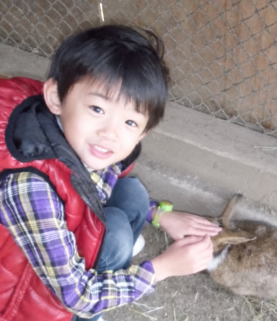 [잡담] 죠 애기때도 귀 엄청 크고 순해보여 | 인스티즈