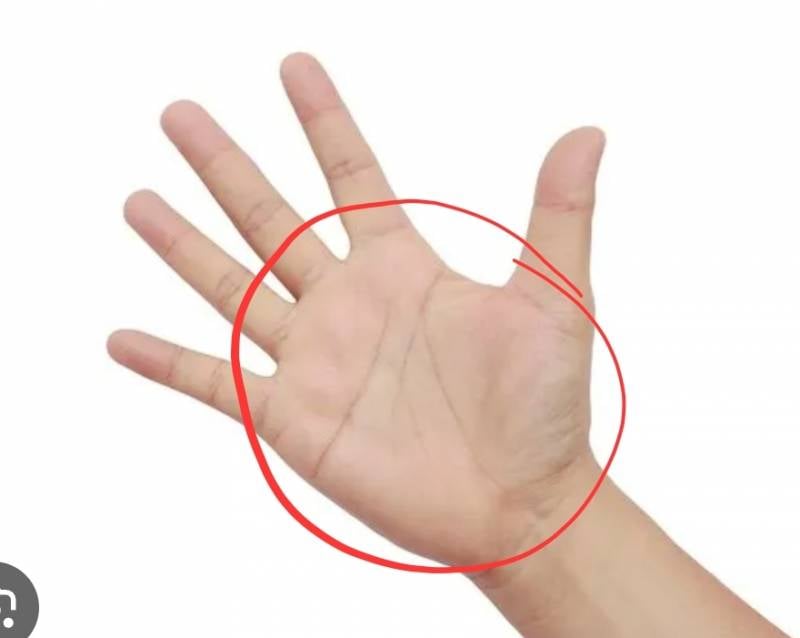 [잡담] 집에서 수세미로 설거지 해본 익들 들어와봐 | 인스티즈