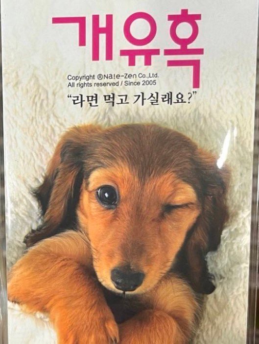 [잡담] 개유혹 | 인스티즈