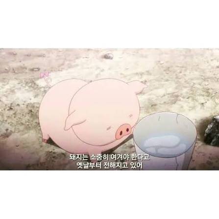 [잡담] 오늘 순꾸 이거다 | 인스티즈
