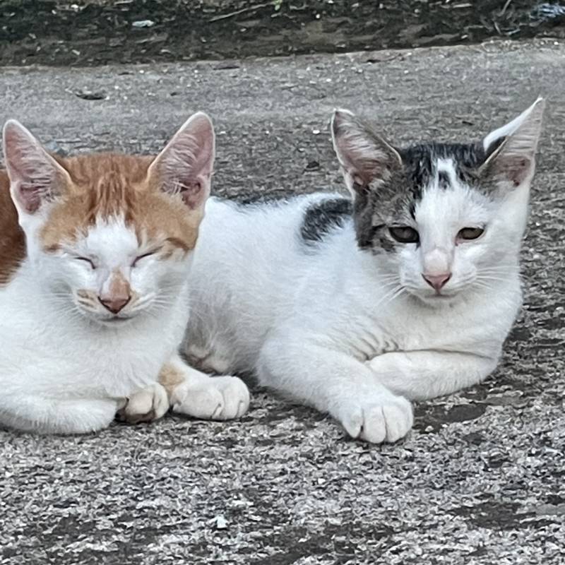 [잡담] 가방 귀엽지😊 | 인스티즈