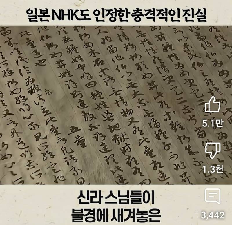일본 NHK도 인정한 충격적인 진실 | 인스티즈