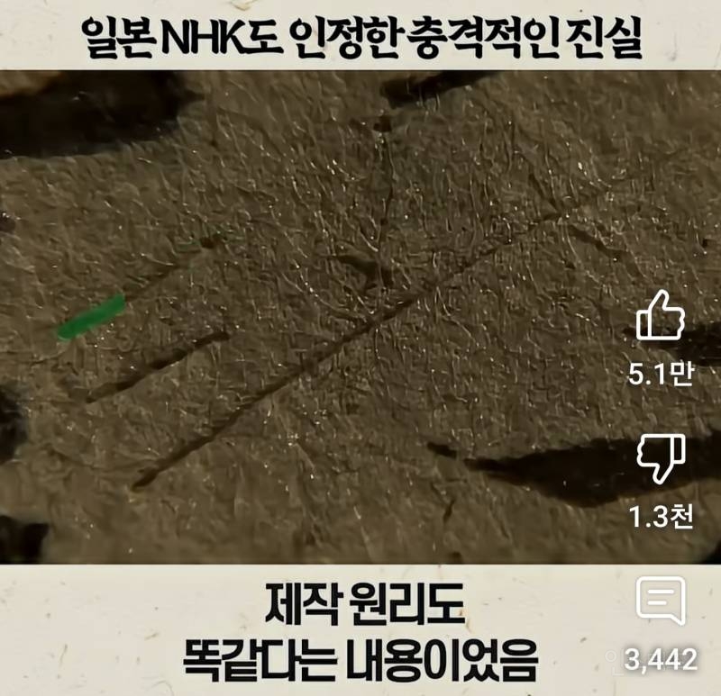 일본 NHK도 인정한 충격적인 진실 | 인스티즈