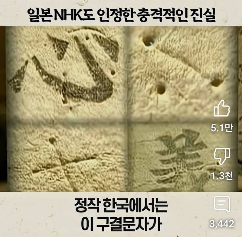 일본 NHK도 인정한 충격적인 진실 | 인스티즈