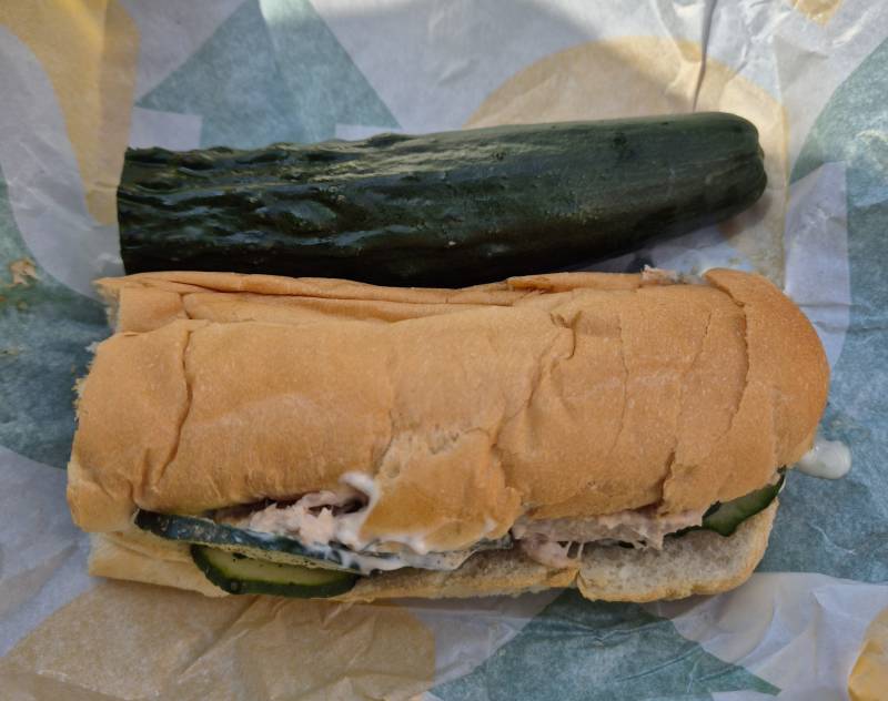 [잡담] 오이러버 점심🥒 | 인스티즈