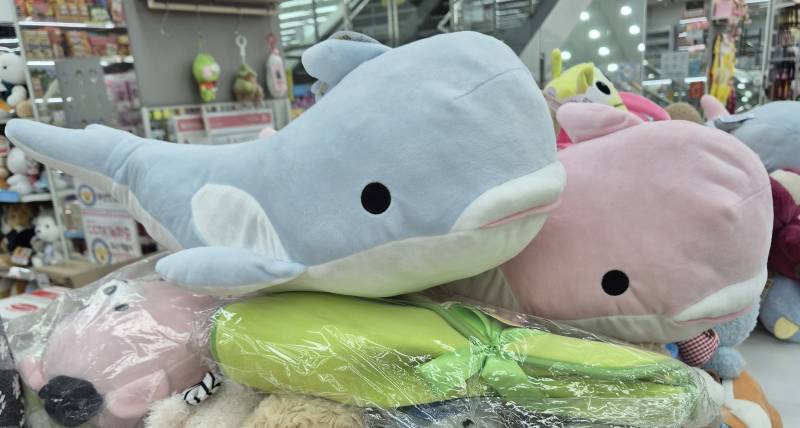 [잡담] 다이소 이 벨루가 인형 너무 사고싶었는데 | 인스티즈