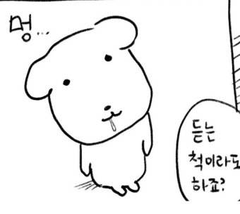 [잡담] 가나디 책으로도 나오면 조케따 | 인스티즈