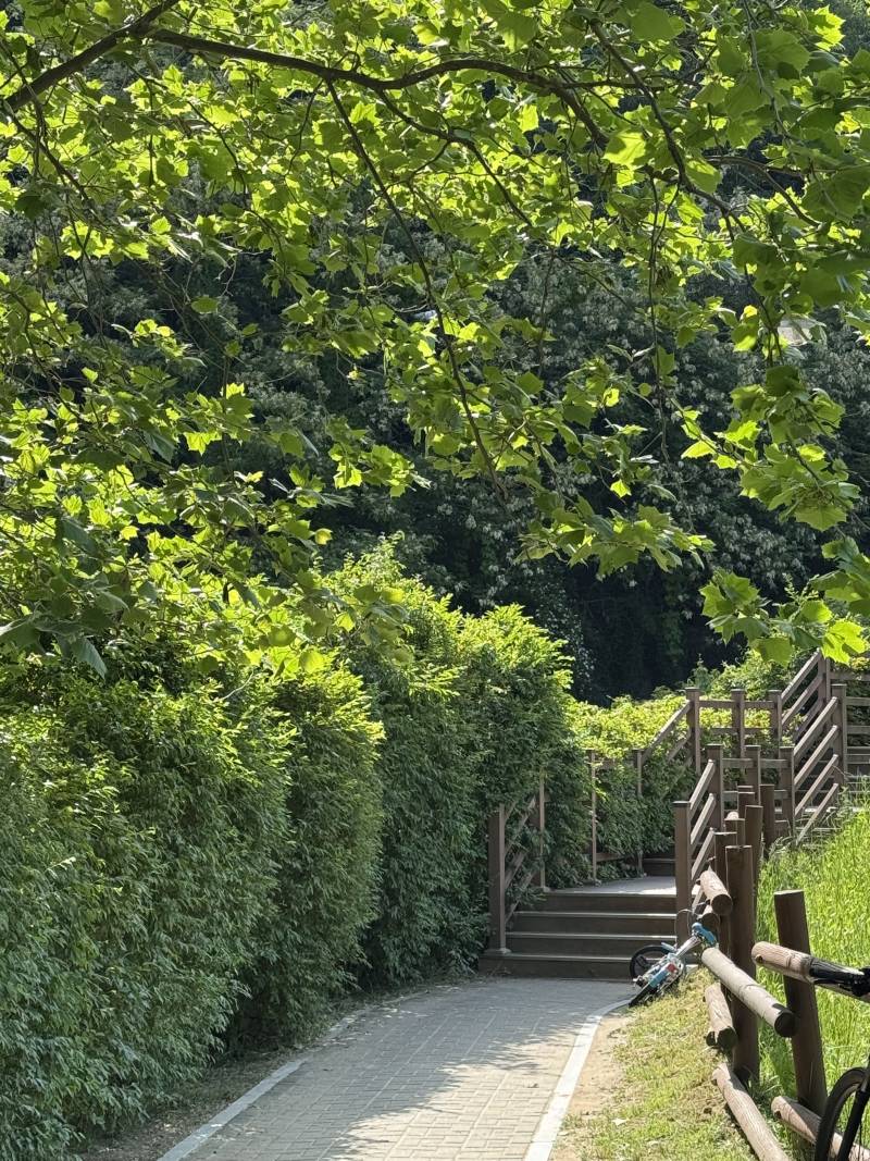 [잡담] 친구랑 사진 대결 중인데 누가 더 잘 찍었어? | 인스티즈