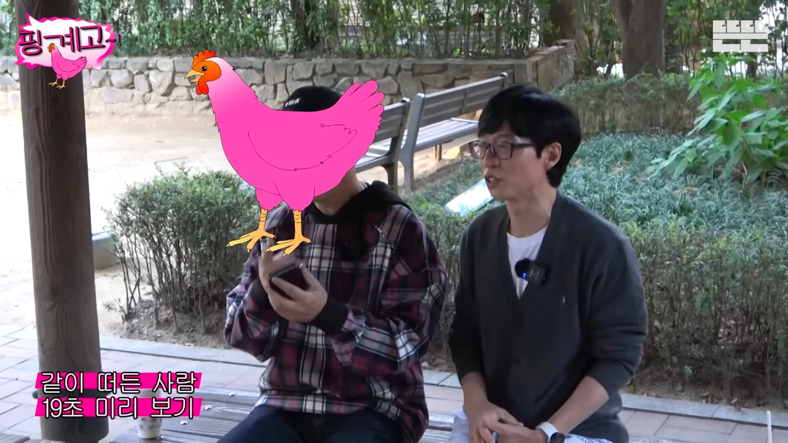[잡담] 핑계고 초창기 핑닭 아시는분 | 인스티즈