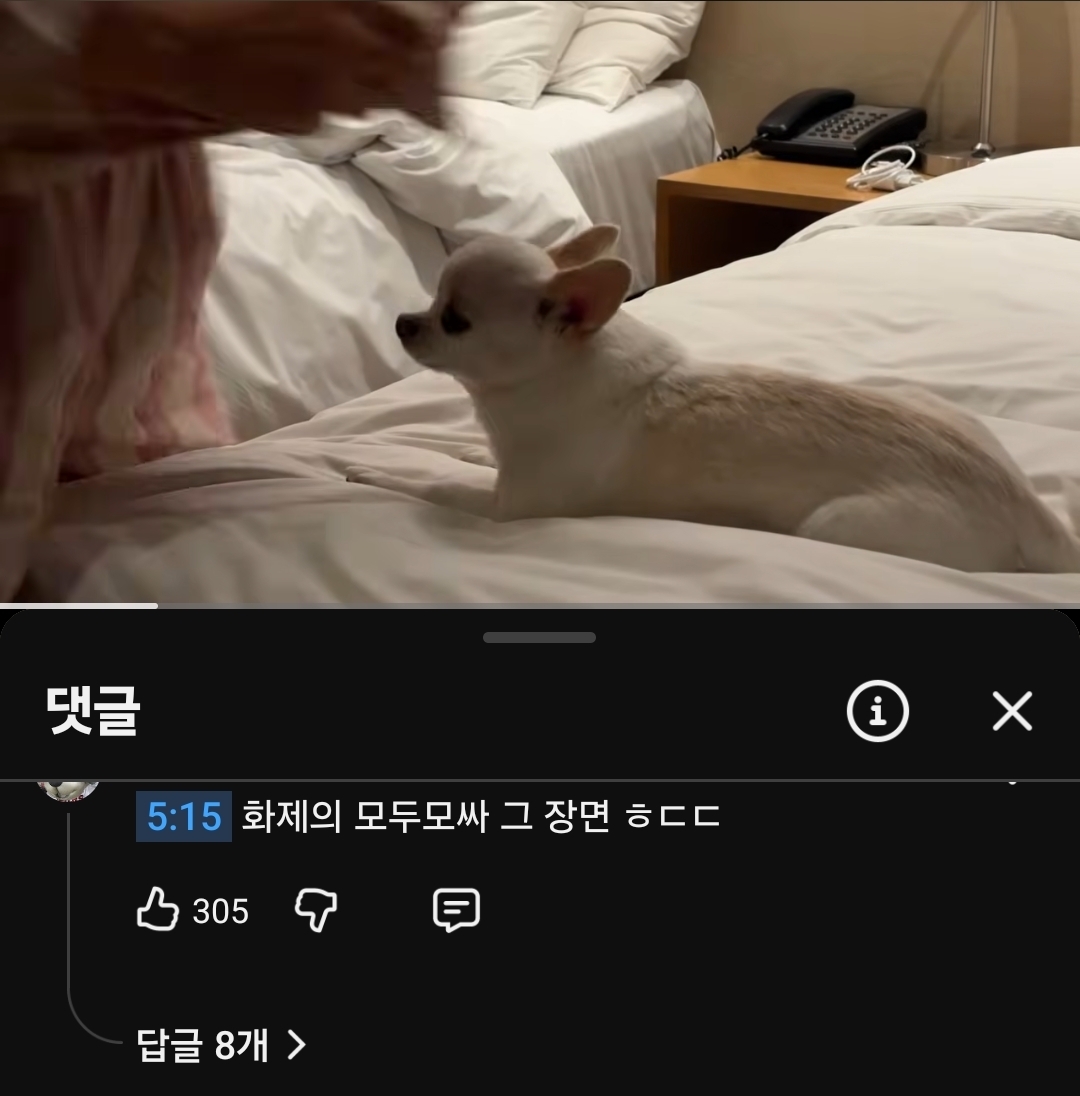[마플] 모자무싸 문제의 장면 이렇게 바꿨으면 모두가 행복했을텐데 | 인스티즈