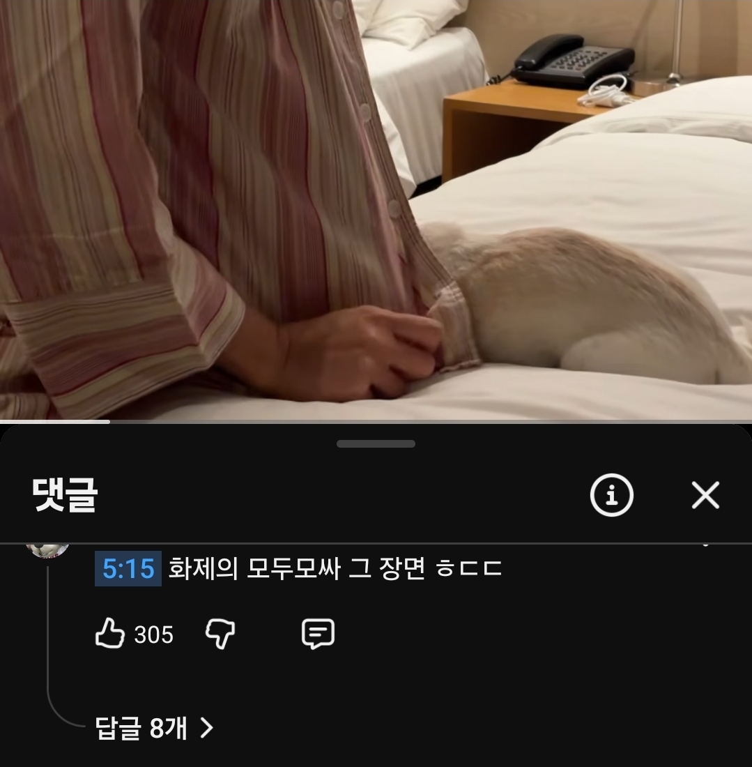 [마플] 모자무싸 문제의 장면 이렇게 바꿨으면 모두가 행복했을텐데 | 인스티즈