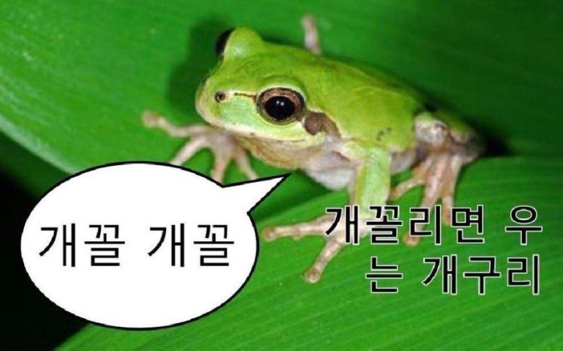 [잡담] 성한빈 작두파트 | 인스티즈