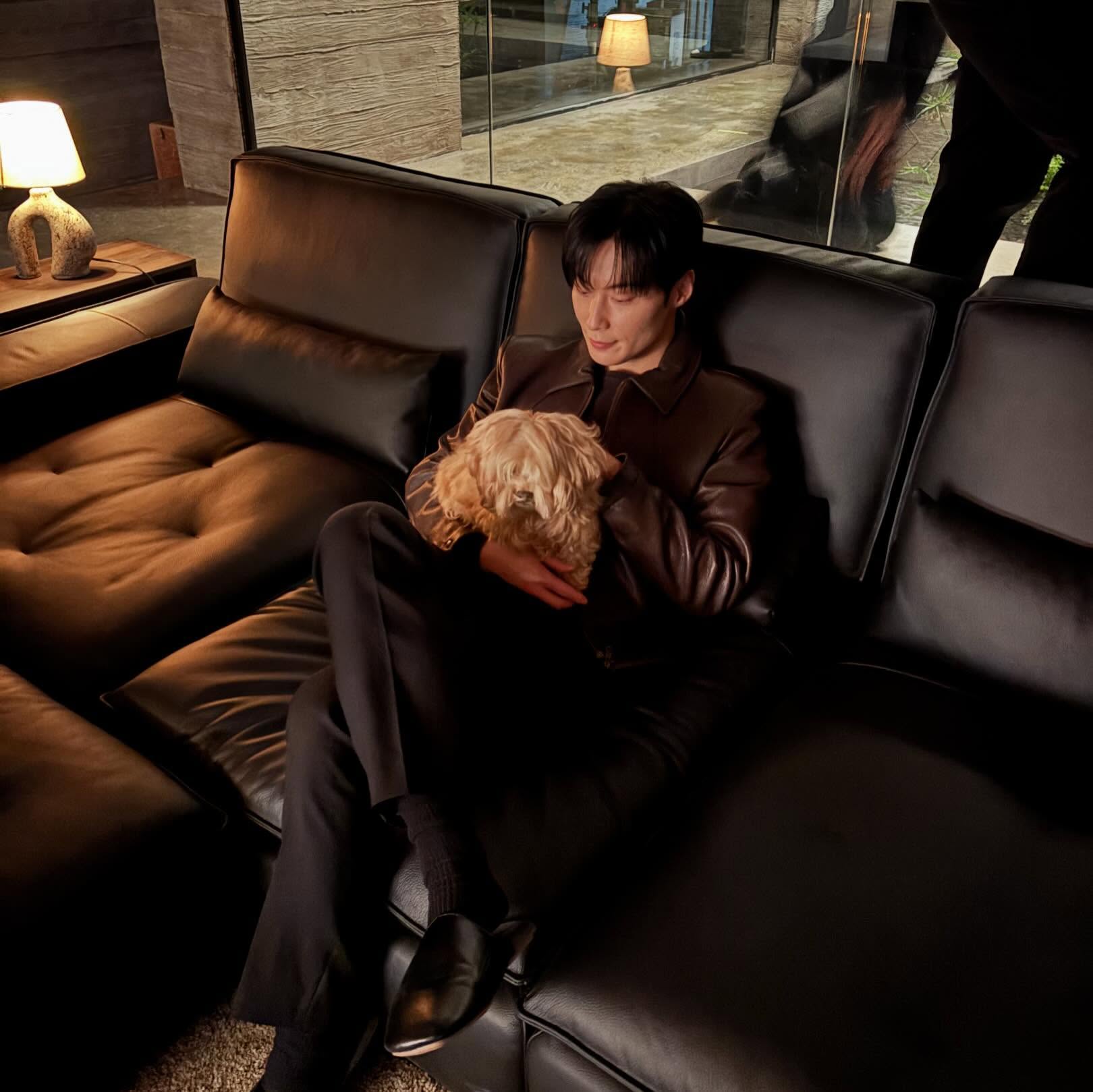 [잡담] 멋진신세계) 차세계 감자🐶 싫어하는 척 하느라 힘들었겠다~ | 인스티즈