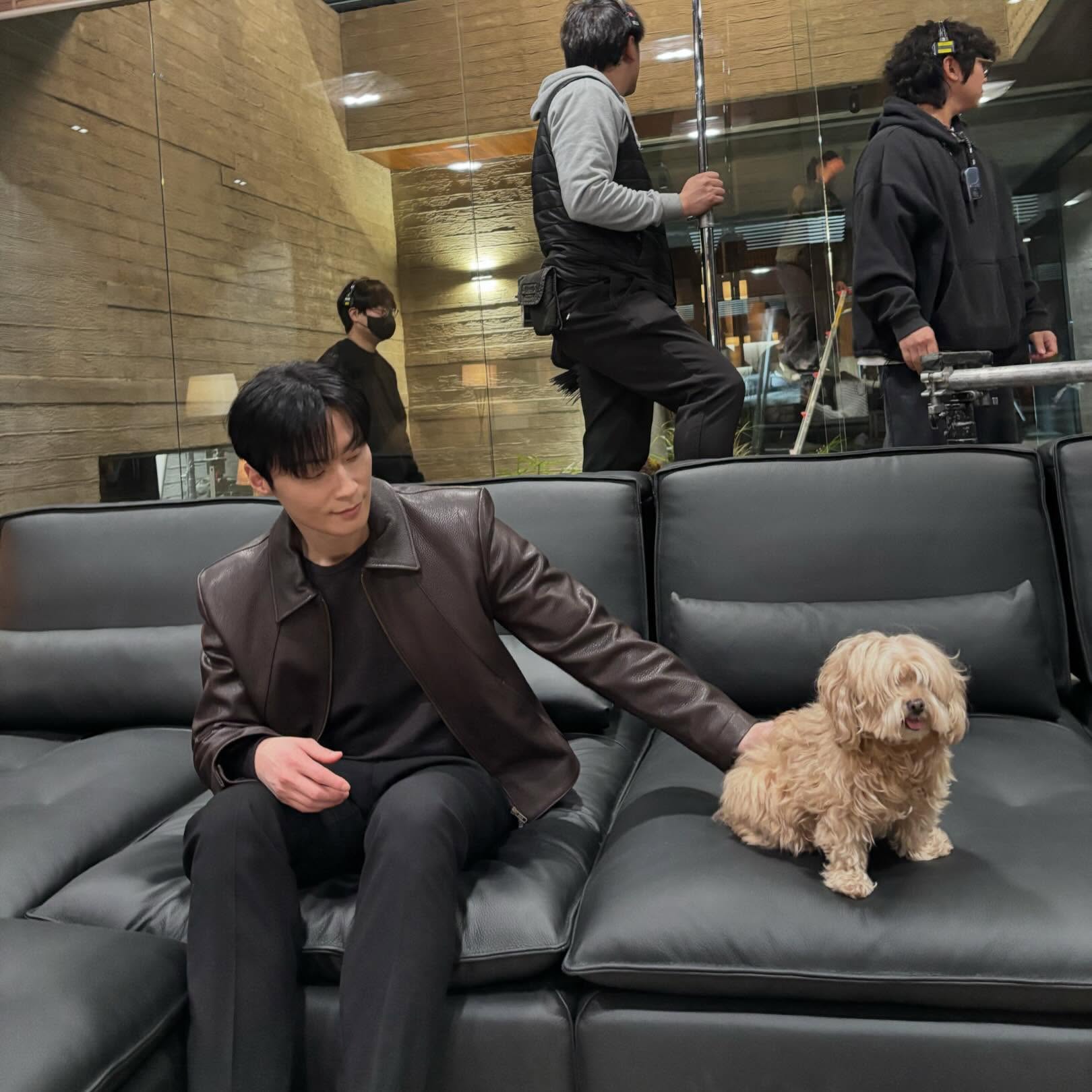 [잡담] 멋진신세계) 차세계 감자🐶 싫어하는 척 하느라 힘들었겠다~ | 인스티즈