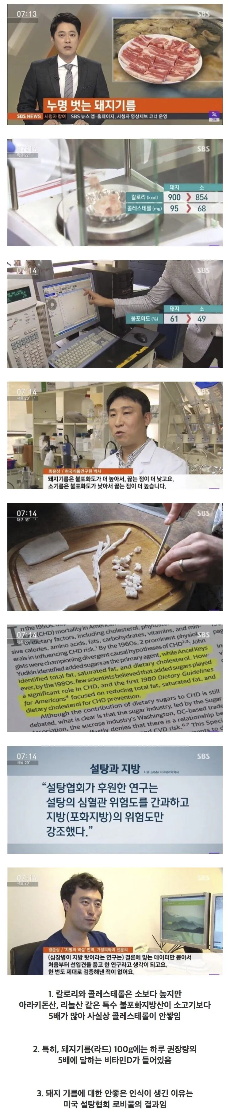 돼지고기 비계가 건강에 좋은 이유 | 인스티즈