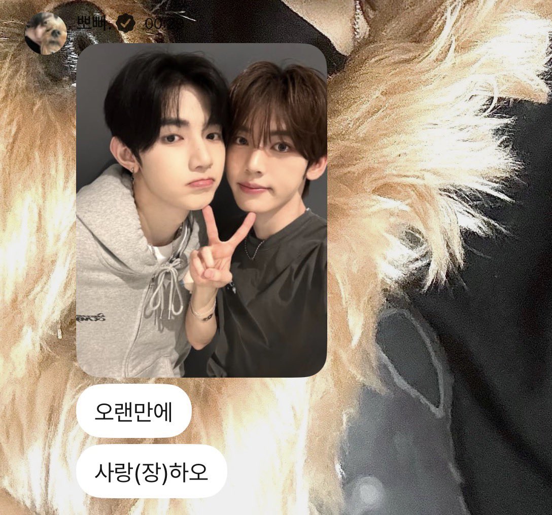 [잡담] 앤더블 맏형 조아 막내 | 인스티즈