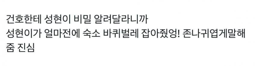 [잡담] 이거봤어? 코르티스 숙소에 바퀴벌레 나왔는데 | 인스티즈