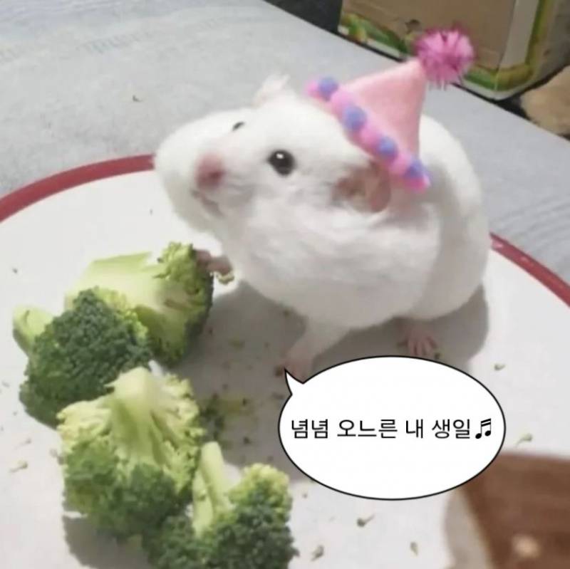 [잡담] 오늘 내 30대 첫 생일이야..🎉 | 인스티즈