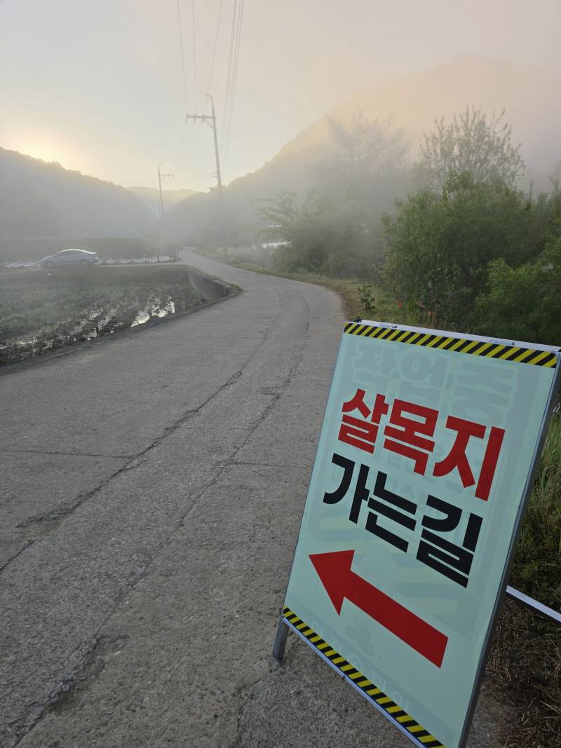 [잡담] 나 살목지 갔다왔어 사진 끝내줌 | 인스티즈
