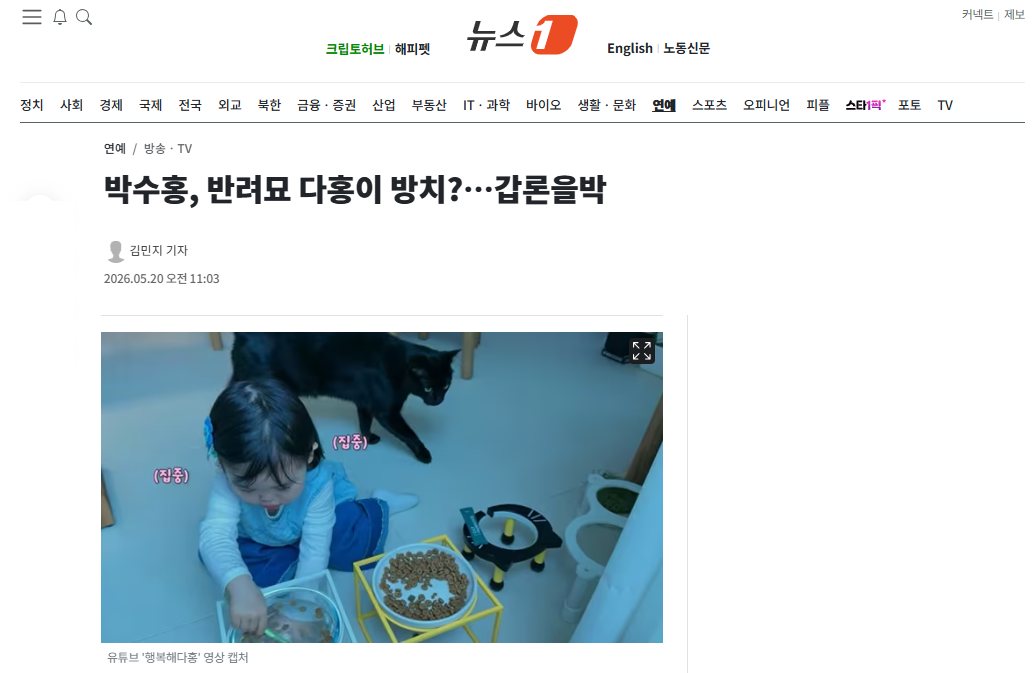 [잡담] 박수홍, 반려묘 다홍이 방치?…갑론을박 | 인스티즈