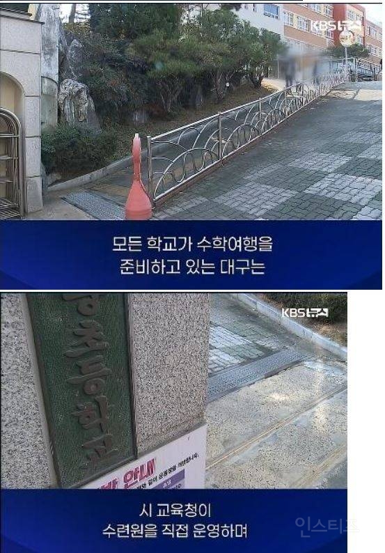 전국 초등학교 수학여행 실시 예정 비율 .jpg | 인스티즈