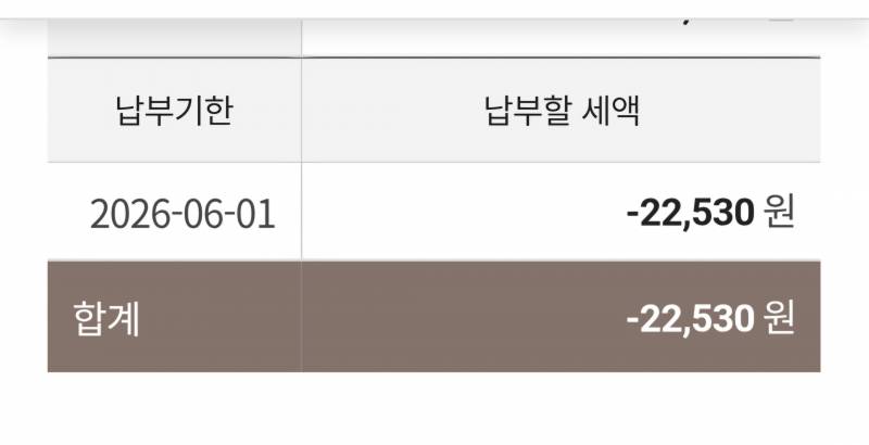 [잡담] 지방소득세 합계 앞에 - 22530원 뜨면 안내도 되는거임? | 인스티즈