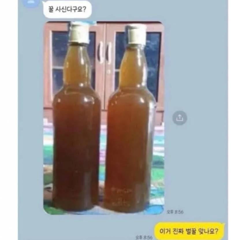 벌꿀 인증 ㄹㅈㄷ ㄷㄷㄷㄷㄷㄷㄷㄷㄷㄷ | 인스티즈