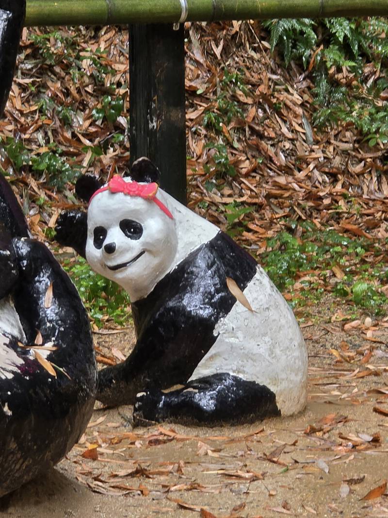 [잡담] 담양 죽녹원 놀러갔었는데 이런거 봄ㅋㅋㅋㅋㅋㅋㅋㅋ | 인스티즈