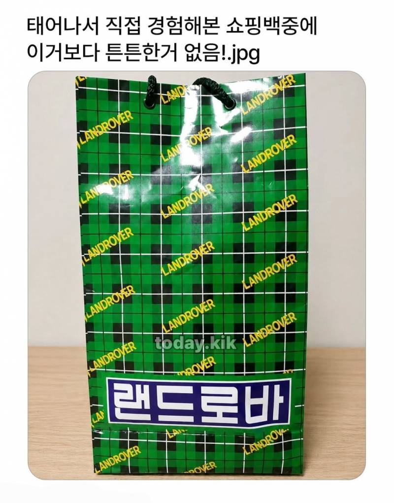현재 이거 알면 𝙅𝙊𝙉𝙉𝘼 할미라는 쇼핑백..JPG | 인스티즈