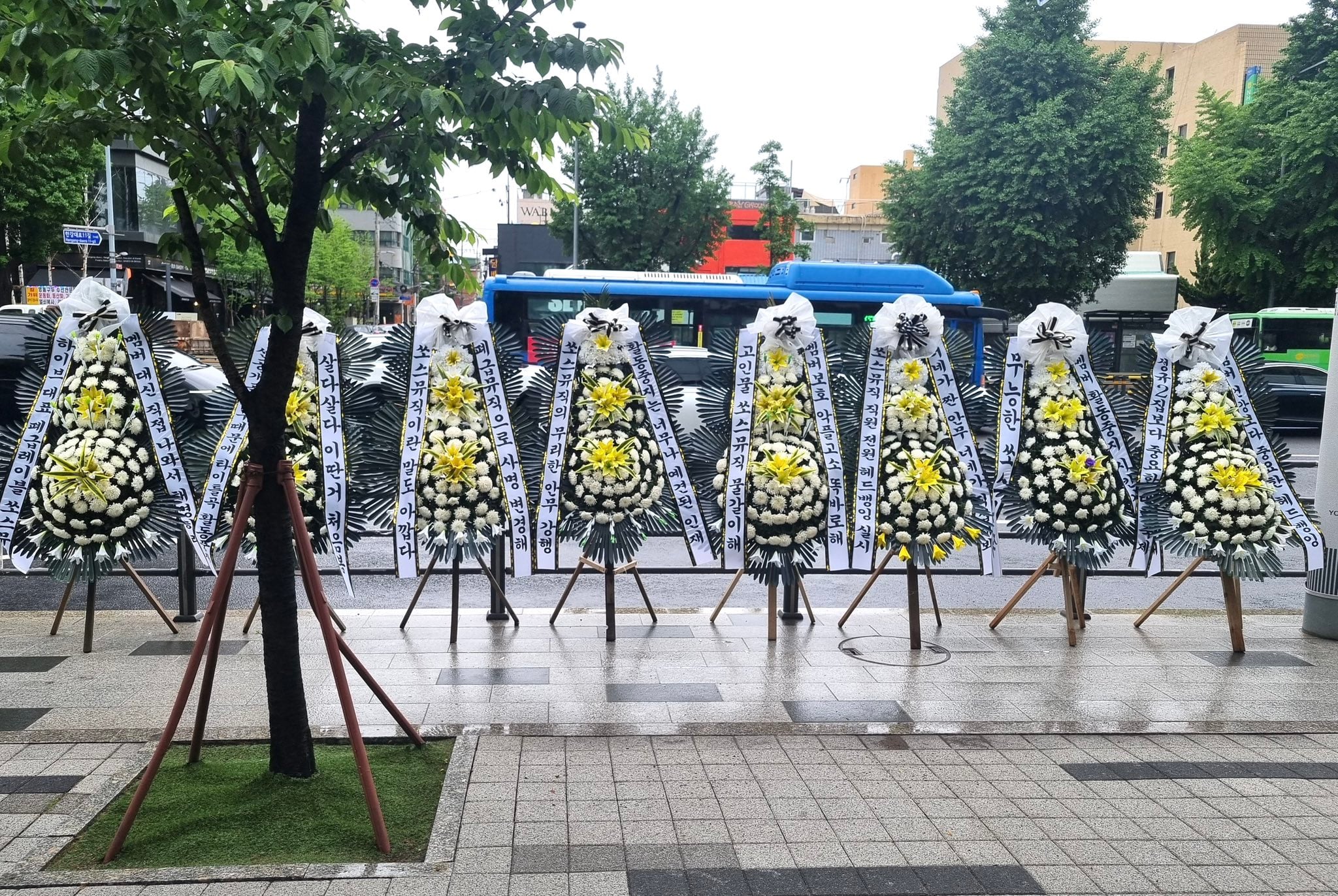 [정보/소식] 르세라핌 채원 근조화환보낸 피어나 | 인스티즈