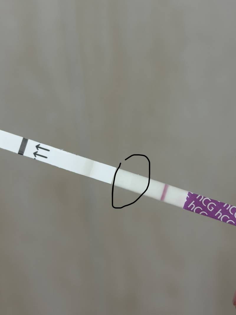 [잡담] 이거 임테기 시약선 같지? | 인스티즈