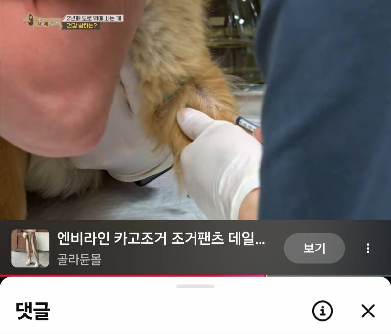 [잡담] 유튜브 제품 링크 뜨는거 킹받는데 이거 지우는 방법 없나? | 인스티즈