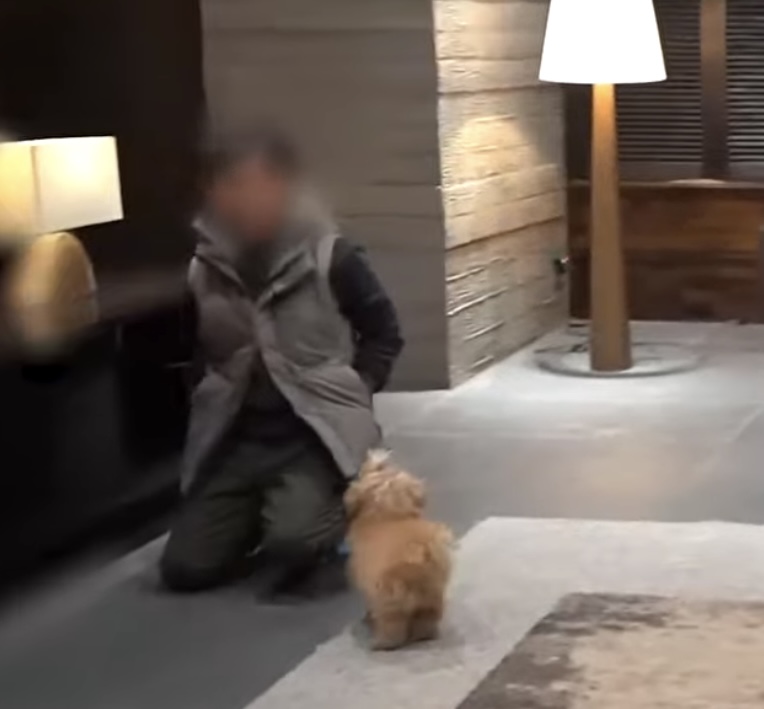 [잡담] 멋진신세계) 아니 감자 메이킹 보는데 ㅋㅋㅋㅋㅋㅋㅋㅋㅋㅋㅋㅋ | 인스티즈
