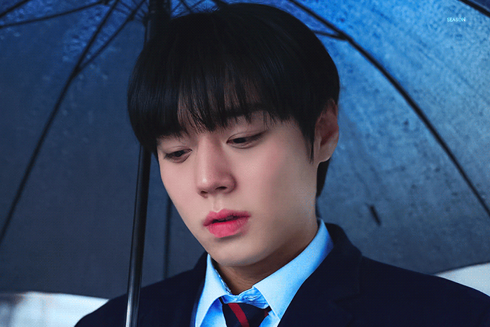 [잡담] 박지훈 취사병이랑 약영 연애혁명 셋 다 고딩인데 | 인스티즈
