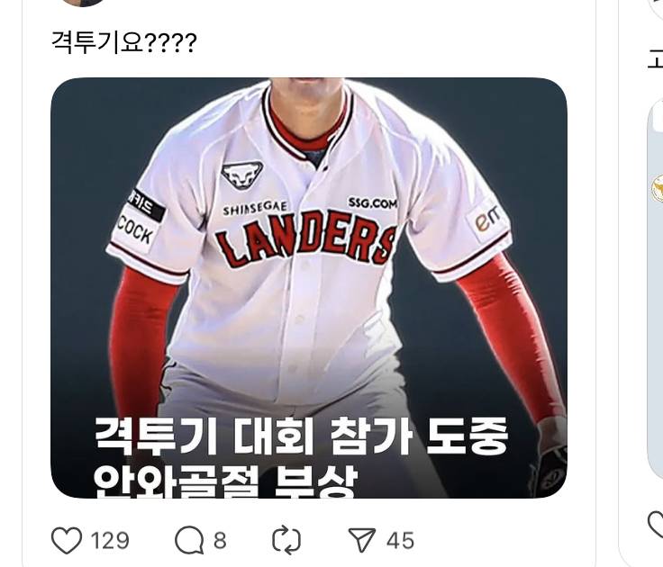 [잡담] 격투기 하다가 안와골절 당한 선수 누구야..? | 인스티즈