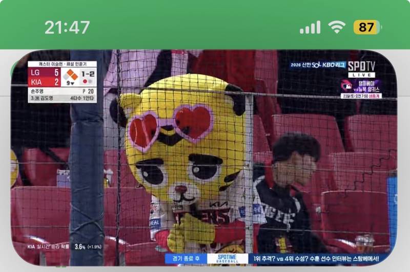 [잡담] 광주 틀자마자 호돌이? 호걸이?가 빌고있음ㅋㅋㅋㅋㅋㅋㅋ | 인스티즈