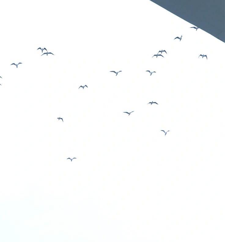 [잡담] 라이즈 인물 안나온 사진들도 | 인스티즈