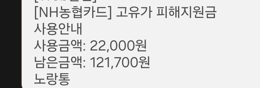 [잡담] 고유가 지원금 남은 금액 🥹 | 인스티즈