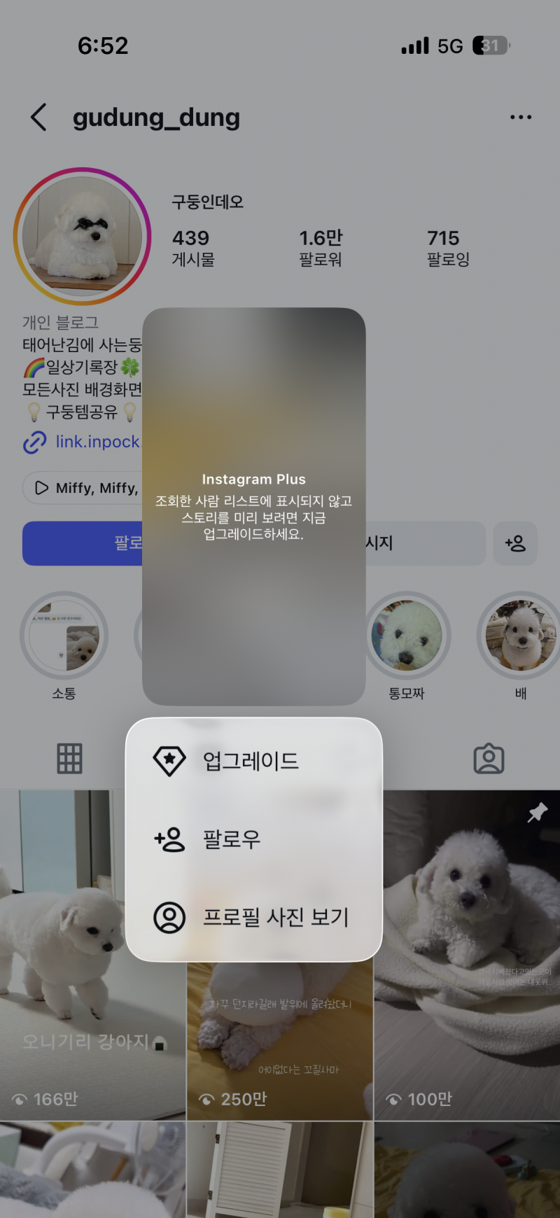 [잡담] 머야 이제 인스타스토리몰래보기 돈내면 가능한거? | 인스티즈