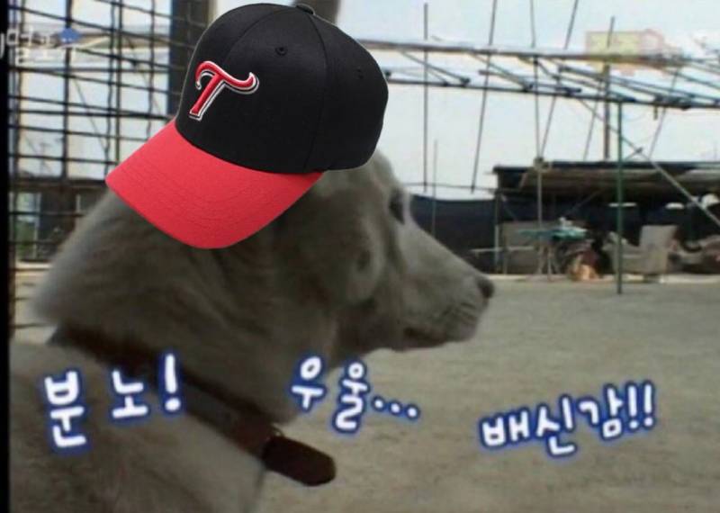 [잡담] 정신 좀 차리자 | 인스티즈