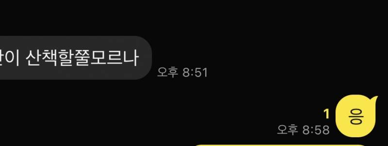 [잡담] 마당에서 풀어놓고 키우던 강아지… ㅠㅠ | 인스티즈