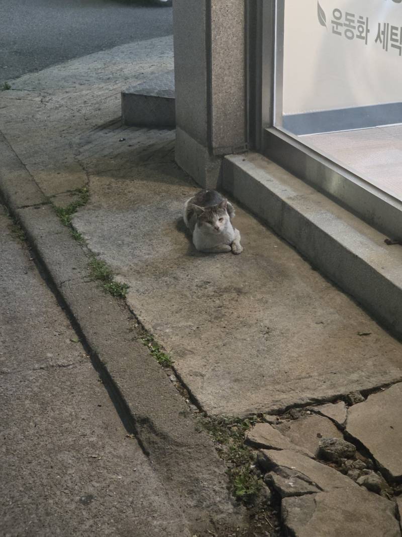 [잡담] 담배피던 자리 뺏김 | 인스티즈