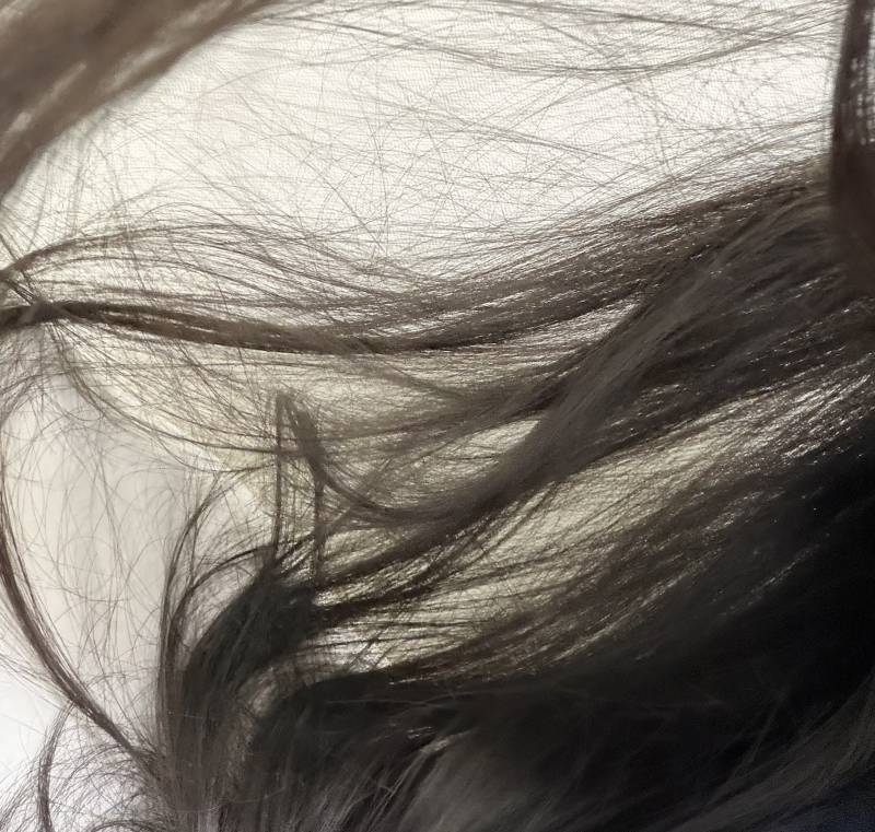 [잡담] 머리카락 얼마나 얇아보여? | 인스티즈