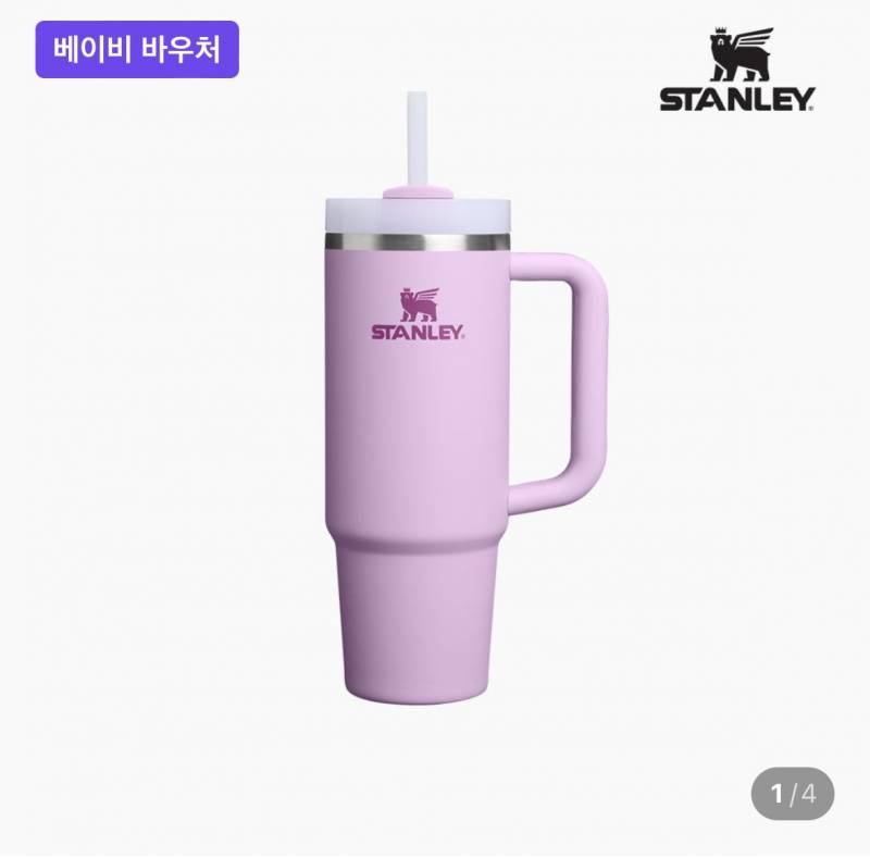[잡담] 스탠리 색깔 골라줘!!!!!‼️‼️‼️‼️ | 인스티즈