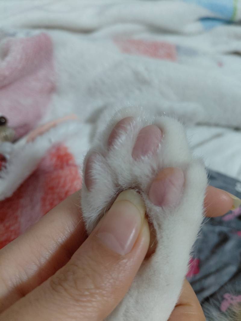 [잡담] 권력 넘치는 짤 공유해봄 | 인스티즈