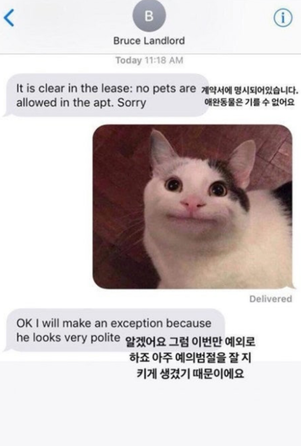 [잡담] 지디 친구 보는 표정이 너무 무해하다 | 인스티즈