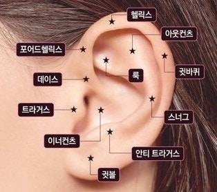 [잡담] 안 아픈 피어싱 위치 추천 좀 | 인스티즈