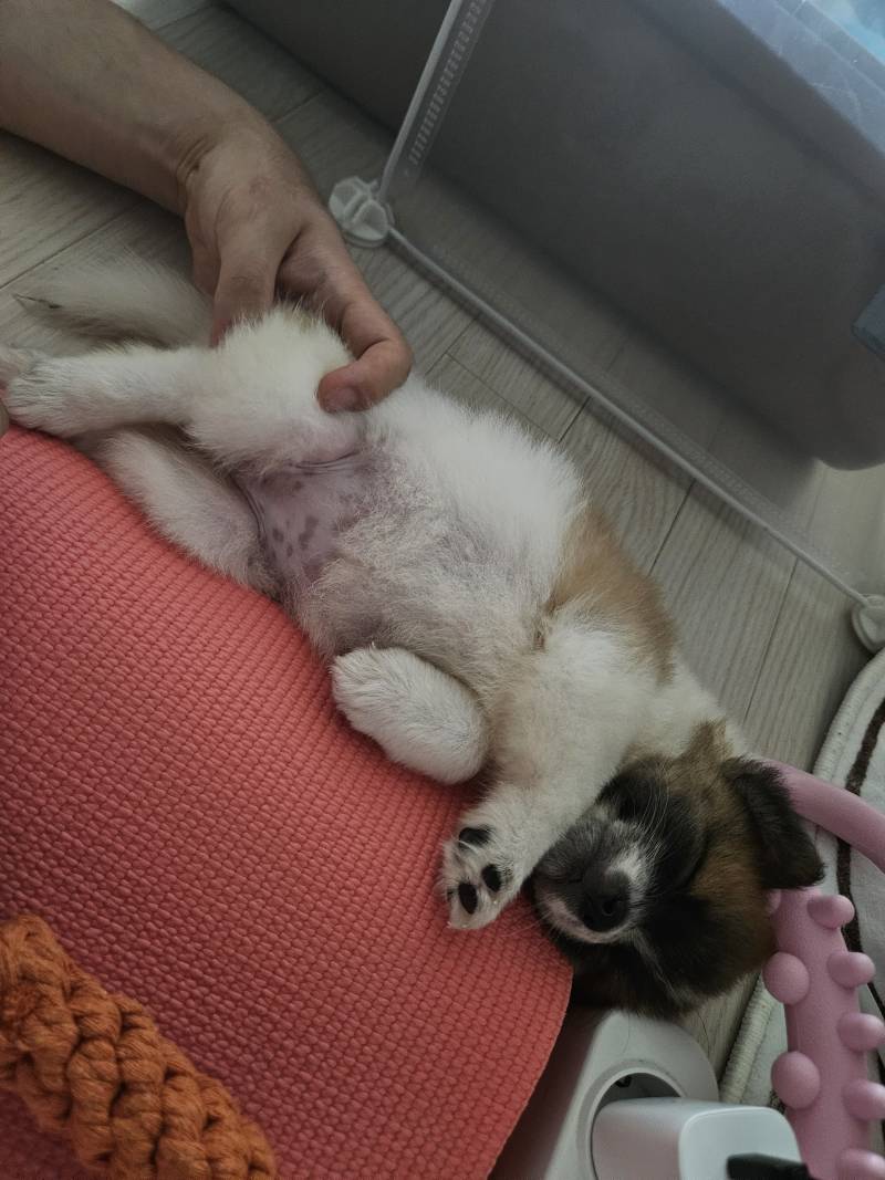 [잡담] 가나디 확대해써 히히 | 인스티즈